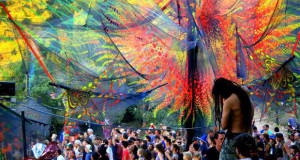 Tree Of Life Festival