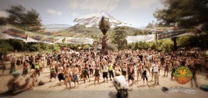 Tree of Life Festival 2017