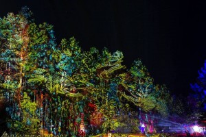 Underground psytrance Festivals